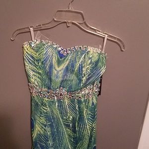 Peacock full length dress.